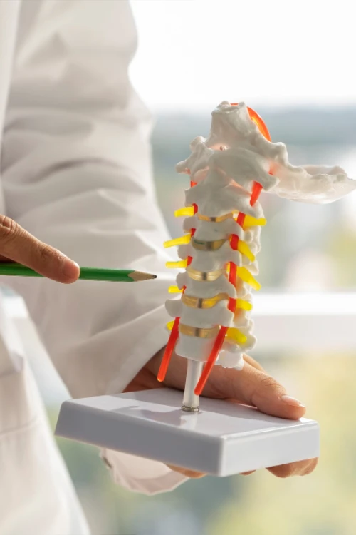 Tumores de Columna y Médula